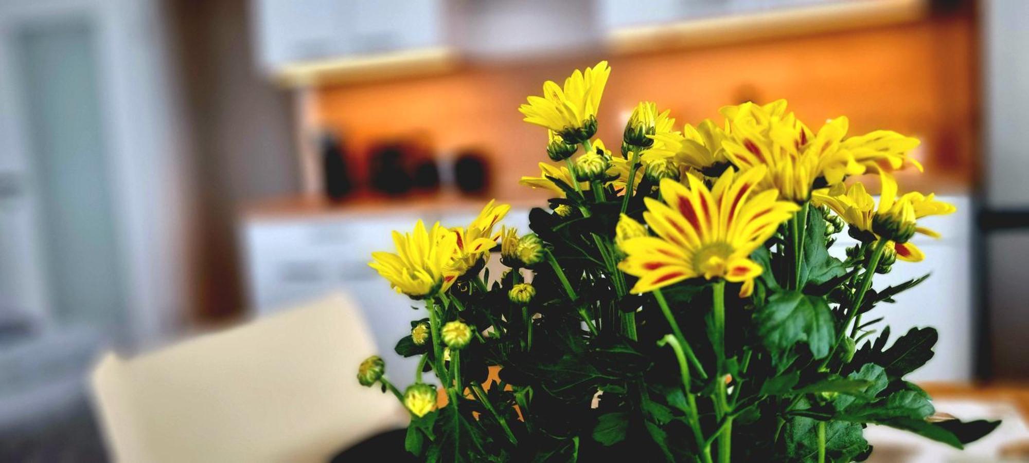Apartment Hannover - Langenhagen Center エクステリア 写真